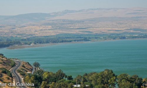 Galileia