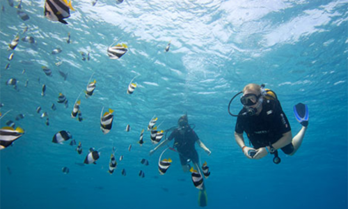 Kuredu Island2
